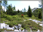 foto Panorama dal Monte Verena